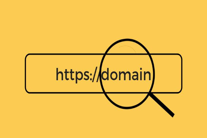 Website Domain Concepts